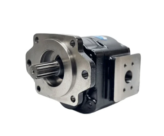 Насос GHD2-100R(L)-S06D14-SG07G06-NP.V1H4